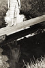 erica > photos >  bridge_3s
