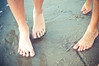 erica > tarman >  DSC_5533
